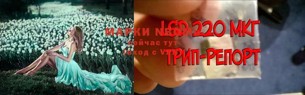 хмурый Киренск
